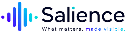 Salience: what matters, made visible